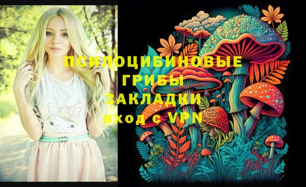 прущая мука Балахна