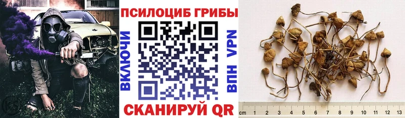 площадка как зайти  Пушкино  Псилоцибиновые грибы Magic Shrooms 