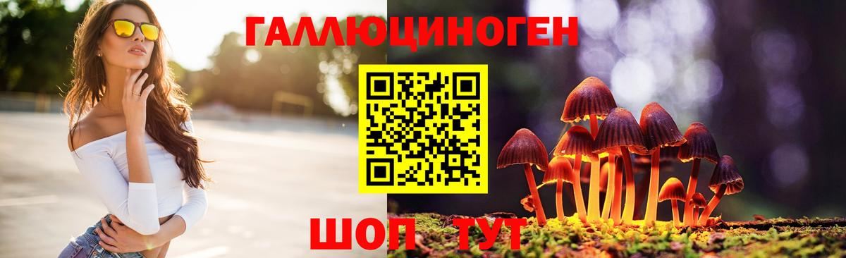 Псилоцибиновые грибы MAGIC MUSHROOMS Пушкино