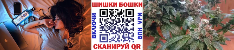 Шишки марихуана MAZAR mega зеркало Пушкино как найти закладки